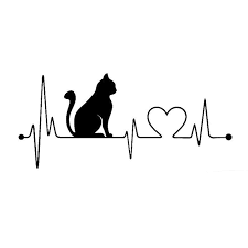 20 8 9 Cm Haustier Katze Herzschlag Lebensader Vinyl Aufkleber Kreative Auto Aufkleber Auto Styling Truck Zubehor Schw Vinyl Aufkleber Aufkleber Auto Aufkleber