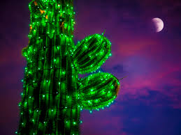 You will love to learn how to make a painted cactus rock garden and we have lots of inspiration plus a watercolor cactus print succulent watercolor cactus art cactus painting desert plant watercolor painting cactus. How To Decorate Cactus And Succulents With Lighting