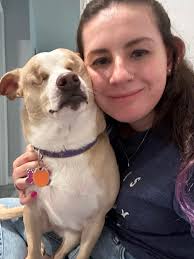 Dog Seizure Diagnosis and Treatment