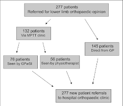 Flow Chart Detailing The Number Of Patients Referred To A