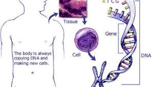 It's usually caught only when it becomes large and spreads outside of the gland. Causes Risk Factors Pancreatic Cancer Johns Hopkins Pathology