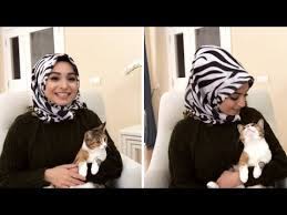 evde kedi beslemek gunah mi kedi bakimi neler yememeli nasil egitim verilir herseyaskla youtube