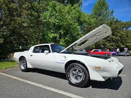 Image result for Yellow Accent 1981 Pontiac