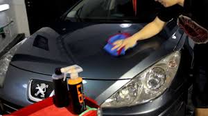 Chemical Guys Black Light V07 Hybrid Peugeot 307 Youtube