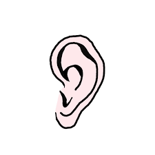 Start the ear drawing by making a simple construction line sketch that will basically outline the ear. Eosthgka Jdahm
