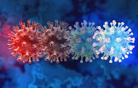 We know b117 is transmitting fast. Scientists To Us Act Now To Leash Virulent Covid Variant Cidrap