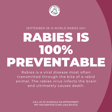 Affordable pet care basse has been a part of the community since 1987. Rabies Vaccine In San Antonio Texas Low Cost Rabies Vaccination In Sa Pet Vaccination Clinic