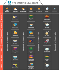 Indian Baby Food Chart Ultimate Guide For 0 12 Months Old 2021 Updated