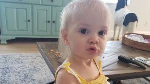 Fundraiser for Becky Everett by Julie Keeler : For The Love of Lincoln Rose  Everett