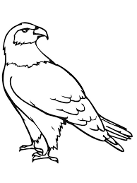 Sketches tutorial drawing tutorials anamorphic step by step drawing diy garden decor illustration art illustrations art techniques tatoos. Falcon Bird Drawing For Kids Novocom Top