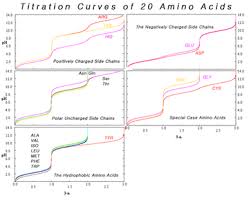 Amino Acid Wikipedia