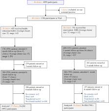 Flow Chart Of Clinics And Participants In The Trial