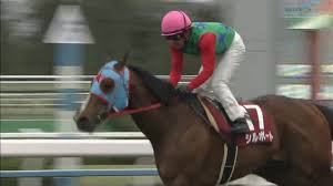 【公式サイト限定】 素直になれない恋人たち 4th season 橘聖人ブロマイドセット. ãƒžã‚¤ãƒ©ãƒ¼ã‚ºã‚«ãƒƒãƒ—2021 å‡ºèµ°äºˆå®šé¦¬ äºˆæƒ³ã‚ªãƒƒã‚º è³žé‡' æ˜¥ã®ãƒžã‚¤ãƒ«å‹¢åŠ›å›³ãŒè¦‹ãˆã¦ãã‚‹