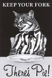 I Don T Know Why I Can T Stop Laughing At This Cats Crazy Cats I Love Cats