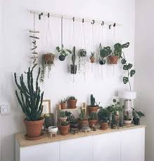 Cool Types Of Cactus Plants And How To Take Proper Care Of Your Own Http Indoorjungle Co 2019 04 10 Types Of Cactus Plants Plant Decor Plants Hanging Plants