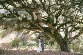If there's one thing we all could learn from this set, that is to dare to be different. Enchanted Forest Wedding Theme Zola Expert Wedding Advice