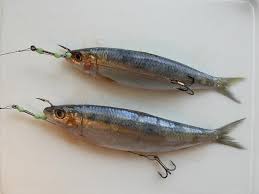 Lmr Custom Rods Tackle Saltwater Fishing Lures Fishing Tips Fishing Lures