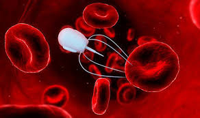 What are the uses of nanotechnology in medicine?