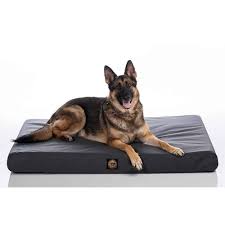 This post contains affiliate links. Gorilla Dog Beds Tough Orthopedic Dog Bed Gorilla Dog Beds