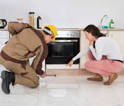 Learn whether home insurance covers termite damage and how to protect your home. Does Home Insurance Cover Termites American Family Insurance