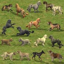 Mod The Sims Amjoie Dog Breeds Part One Small Dogs More Than Two Dozen Sims 2 Pets Dog Breeds Breeds