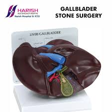 Gall Bladder Is A Pear Shaped Accessory Digestive Organ Tucked Under The Liver In The Right Upper Abdomen 5 F S Of Gall Liver Anatomy Gallbladder Human Liver