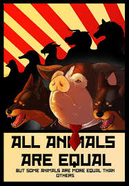 8da6d9713278811d78e56bc6fe17ae2f Jpg 746 1071 Animals Equality Farm Animals