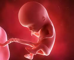 Your baby's brain continues to develop, and tiny fingernails and toenails start to form. 12 Schwangerschaftswoche Offiziell Schwanger