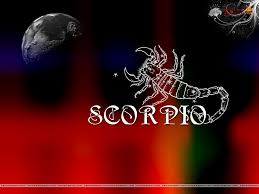 scorpio wallpaper on hipwallpaper