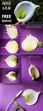 How To Make Paper Calla Lily Flower Free Template Easy Paper Flowers Paper Flowers Diy Paper Flower Template