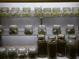 Check spelling or type a new query. Politifact How Much Privacy Do You Have When You Buy Marijuana In California