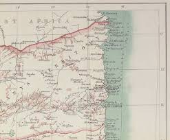 Image result for Nectaropetalum carvalhoi