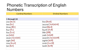 Check spelling or type a new query. English Number Cardinal Numbers 1one11eleven21twenty One31thirty One 2two12twelve22twenty Two40forty 3three13thirteen23twenty Three50fifty 4four14fourteen24twenty Four60sixty Ppt Download