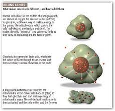 Cheap Safe Drug Kills Most Cancers New Scientist