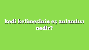 Kedi Kelimesinin Es Anlamlisi Nedir Anlami Ve Ornek Cumleler