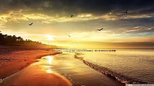 Please contact us if you want to publish a cool nature wallpaper on our site. Cool Nature Wallpapers Top Free Cool Nature Backgrounds Wallpaperaccess