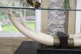 This semester i took a class called the culture of elephants as an environmental studies elective class for an arts credit. Tusk Coffee Table Mr Online Furniture