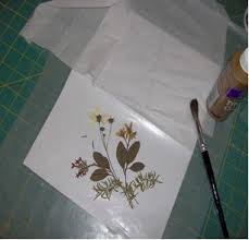 I know you are suppose to use parraffin wax, but i only had soy wax on hand. Antique Any Occasion Pressed Flower Card Favecrafts Com