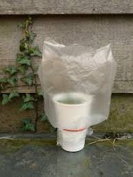 pin op stekken van bloemen