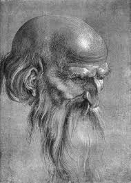 Ask The Art Professor How Can I Learn To Draw Noses Albrecht Durer Albrecht Durer Drawing Artist