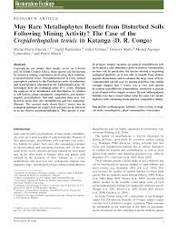 Image result for Crepidorhopalon tenuis