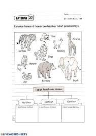 Cara haiwan membiak grup sıralaması. Jenis Haiwan Worksheet