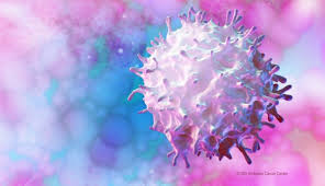 The intimate surroundings are integral in providing individualized care, education and needed emotional support. Does Immunotherapy Treat Breast Cancer Md Anderson Cancer Center