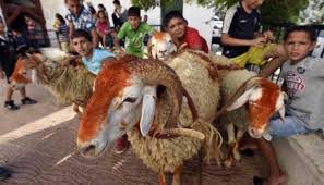 تمرد مسلح وسط مدينة الرياض. Ù…Ø±ÙƒØ² Ø§Ù„ÙÙ„Ùƒ Ø§Ù„Ø¯ÙˆÙ„ÙŠ ÙŠØ­Ø¯Ø¯ Ø£ÙˆÙ„ Ø£ÙŠØ§Ù… Ø¹ÙŠØ¯ Ø§Ù„Ø£Ø¶Ø­Ù‰ 2021 ÙÙŠ ØºØ§Ù„Ø¨ÙŠØ© Ø§Ù„Ø¯ÙˆÙ„ Ø§Ù„Ø¥Ø³Ù„Ø§Ù…ÙŠØ© ÙˆØ·Ù† ÙŠØºØ±Ø¯ Ø®Ø§Ø±Ø¬ Ø§Ù„Ø³Ø±Ø¨