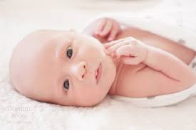 Gordon & Co. Photography