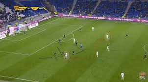 It is one of the most common and widespread domestic animals. Rayan Cherki 2019 20 Scout Report