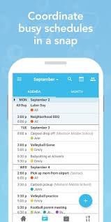 The only problem with the momagenda planners is trying to choose which one i like best. 8 Best Schedule Planner Apps For Children