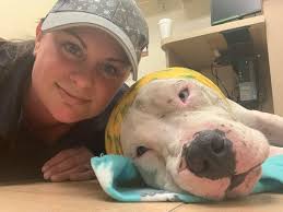 Pit Bull Pride of Delaware