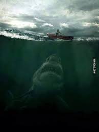 More images for scary ocean pictures shark » This Is Why The Ocean Scares Me Scary Ocean Shark Pictures Ocean Creatures