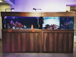 Check spelling or type a new query. Reviews Testimonials N30 Fish Tank Cabinet Aquarium N30 Tank